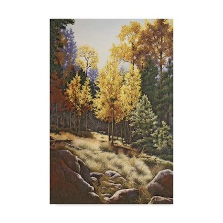 Carol J Rupp 'Forest Gold' Canvas Art,16x24